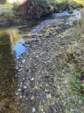 Looking up creek.