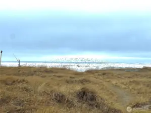 Beach access