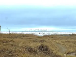 Beach access
