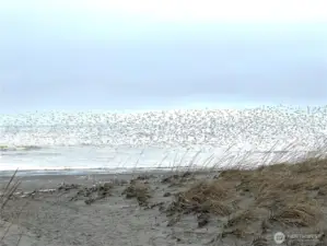 beach access