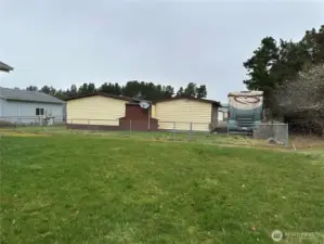 Back yard