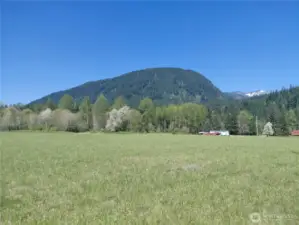 Northwest View