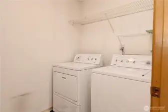 Laundry room and shelves.