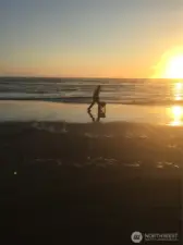 Come live near the beach!