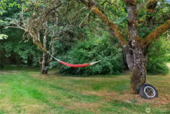 Hammock tree