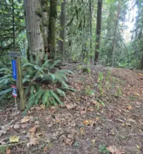 Parcel located next to Driveway for 5334 279th Ave NE