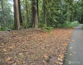 Aproximately 140 ft of frontage along shared driveway