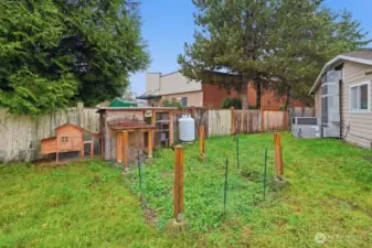Your very own chicken coop!