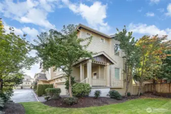 Another view from the grassy area, showcasing the abundance of trees and mature landscaping.