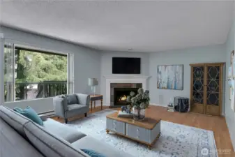 Living Area - Virtually Stated