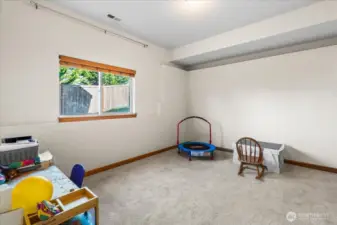 Lower level spacious bedroom with walk-in closet