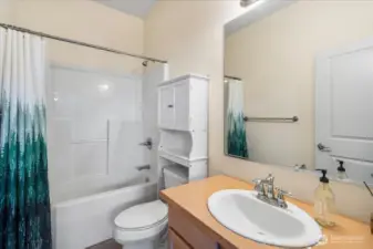 Lower level full bathroom