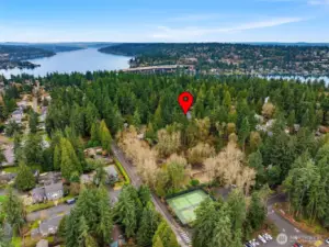 Just blocks to Enatai Elementary School, Enatai Beach Park & Light Rail.