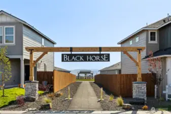 Welcome to Black Horse!