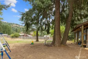 Back yard area with lots of room!