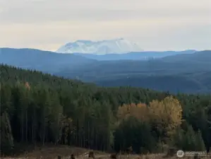 Mt St Helens view from property.
