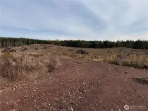 Level to gently sloping topography with network of logging roads on site.