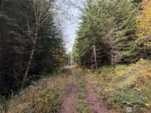 Entry in through south portion of the property.