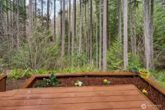 Relaxing back deck nestled among the trees