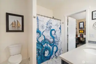 Lower Level Bathroom