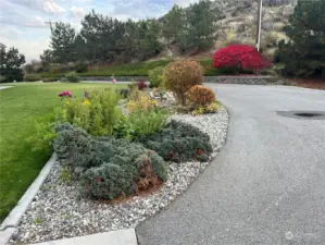 Mature landscaping;  curbed beds & lawn; paved driveway.