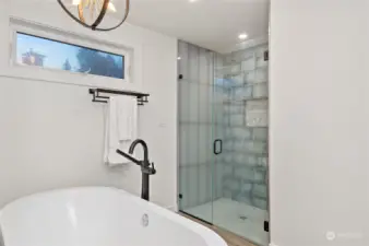 Inviting shower/deep soaking tub
