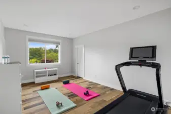 Guest Room or Gym
