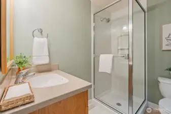 Lower-level bathroom with a walk-in shower