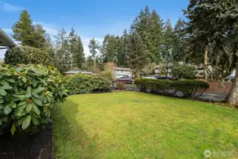 Spacious backyard with lush lawn and open space.