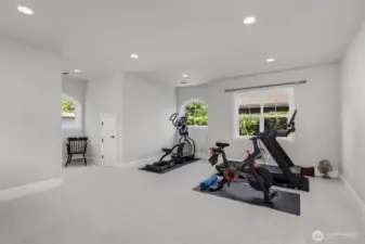 Bonus room/Media room/Playroom