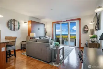 Living room, with murphy bed.