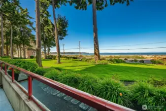 View from patio.