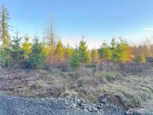 Super easy to develop homesite