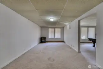 Lower Level TV Room with Free Standing Gas Stove....