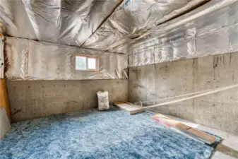 Lower Level unfinished room...