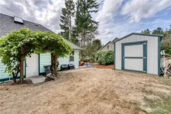 Grape Arbor and Outbuilding....