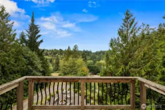 Gorgeous views of the mountain and the entire property.