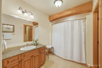 Lower level ensuite bath