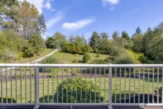 view from front porch
