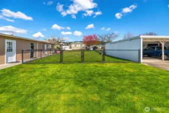 Fully fenced dog park by the fitness center. Located 4 houses down from this home.