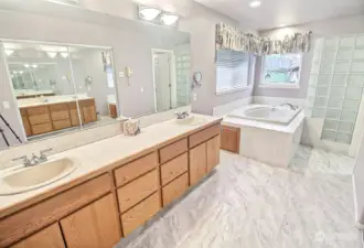 Primary Bath includes Tub and Separate Shower