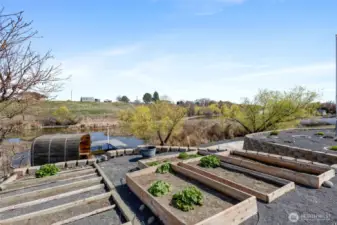 Garden Beds