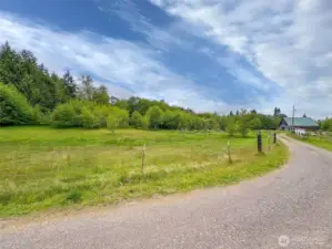 Part of the property, notice red spot on the right, that is the line, your neighbors property in the background