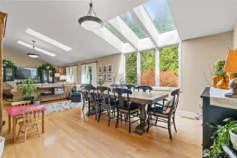 Gorgeous new skylights (2019) looking at your secluded back yard