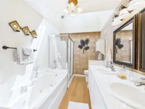 The bathroom has it all; soaking tub and walk-in shower. Double sinks and a huge skylight.
