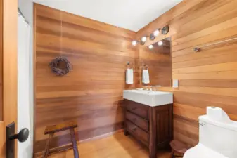 Lower level bath
