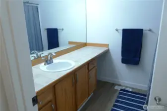 Primary Suite Bath (1)