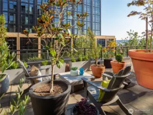 Ample room awaits for potted plants, garden beds, and intimate sitting areas.