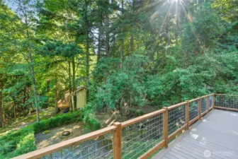 Looks into side yard