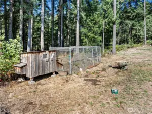 Chicken coop!